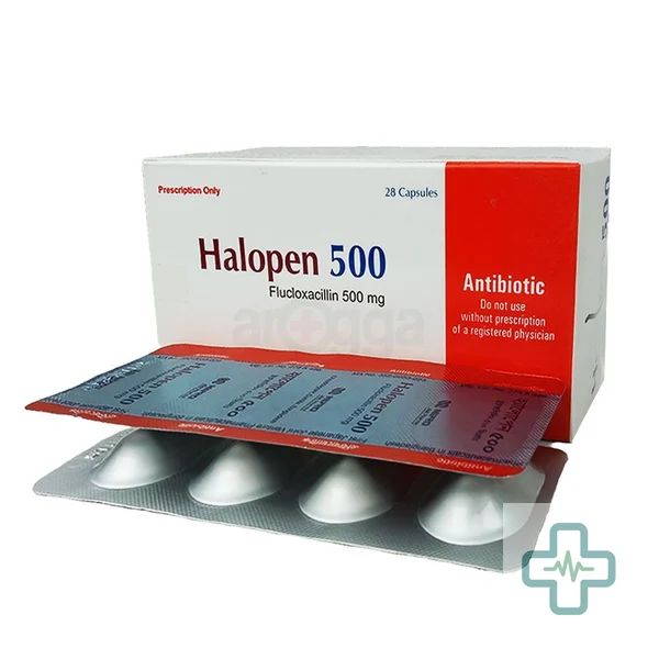 Halopen 500 mg Capsule — Flucloxacillin